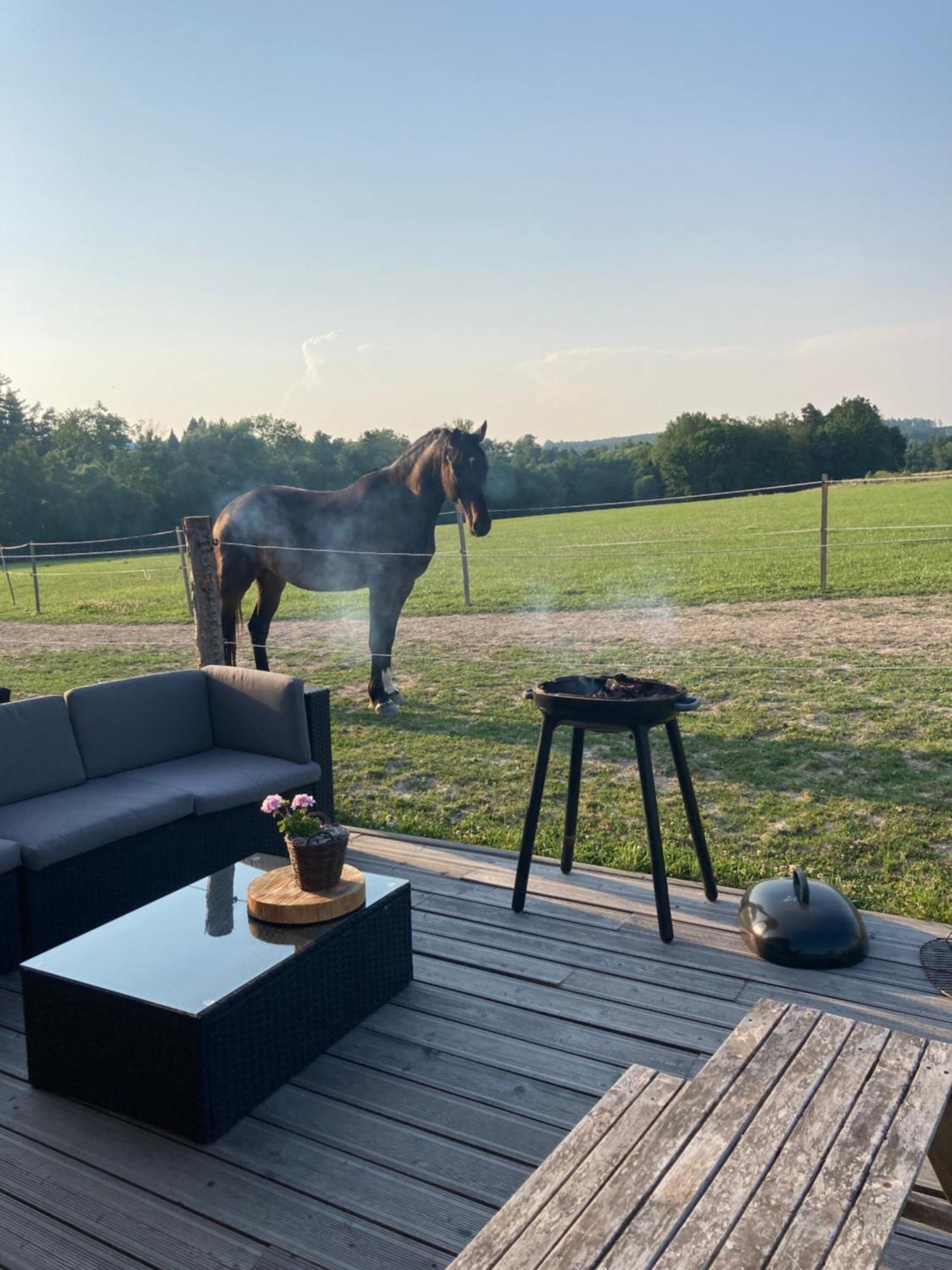 Dum Splnenych Prani Villa Praslavice Bagian luar foto