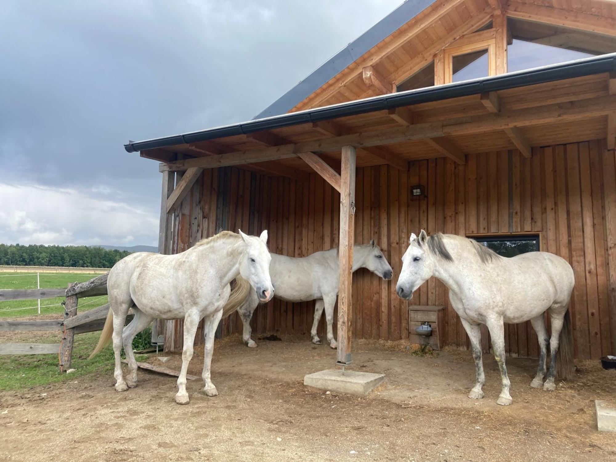 Dum Splnenych Prani Villa Praslavice Bagian luar foto