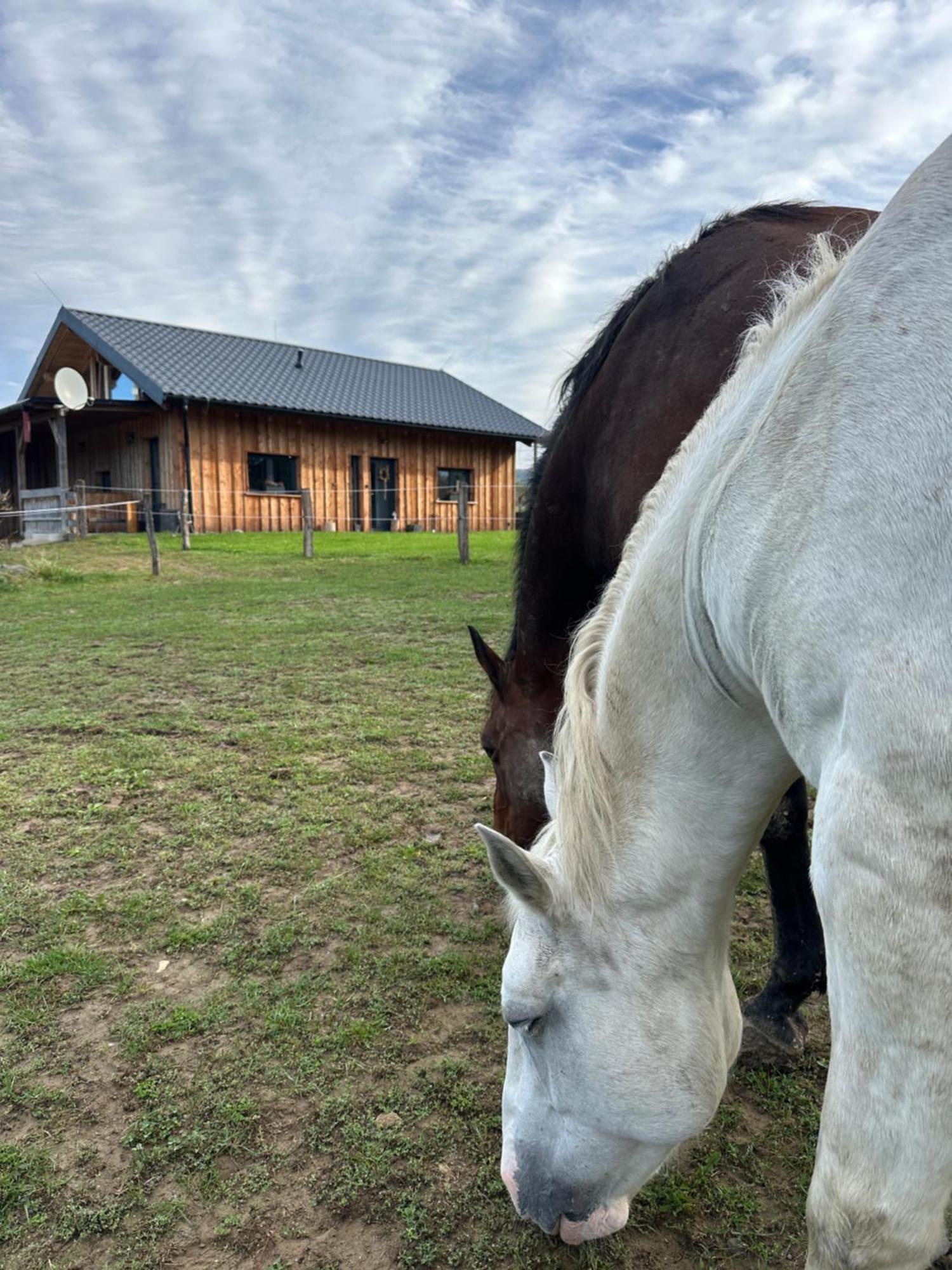 Dum Splnenych Prani Villa Praslavice Bagian luar foto